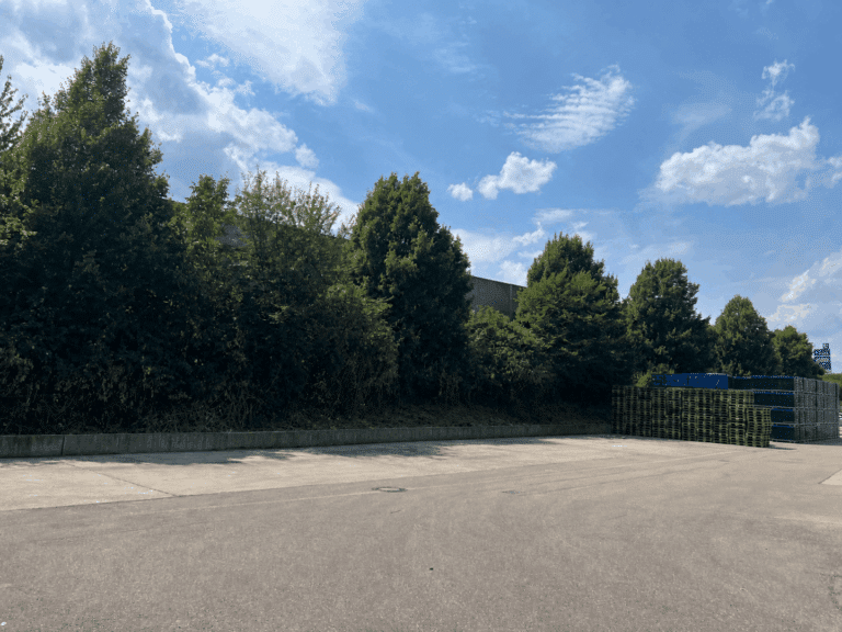 Freifläche vor dem Objekt